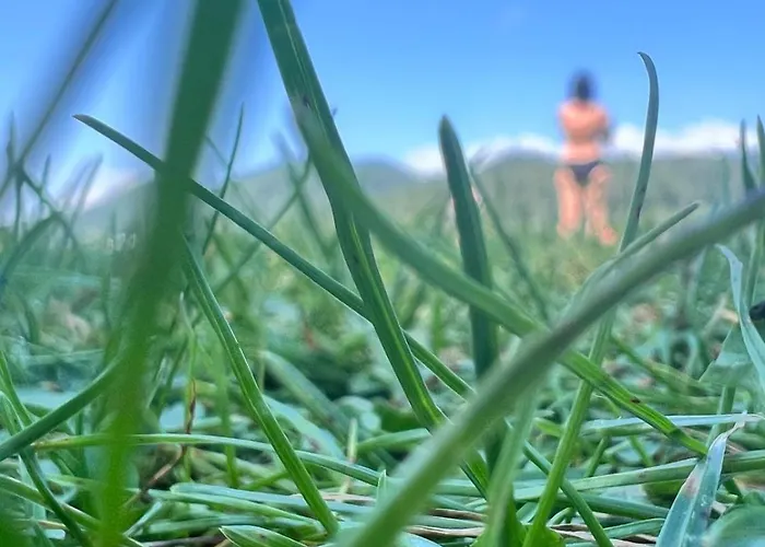 Keutschacherhof 게스트하우스 코이차흐 암 제